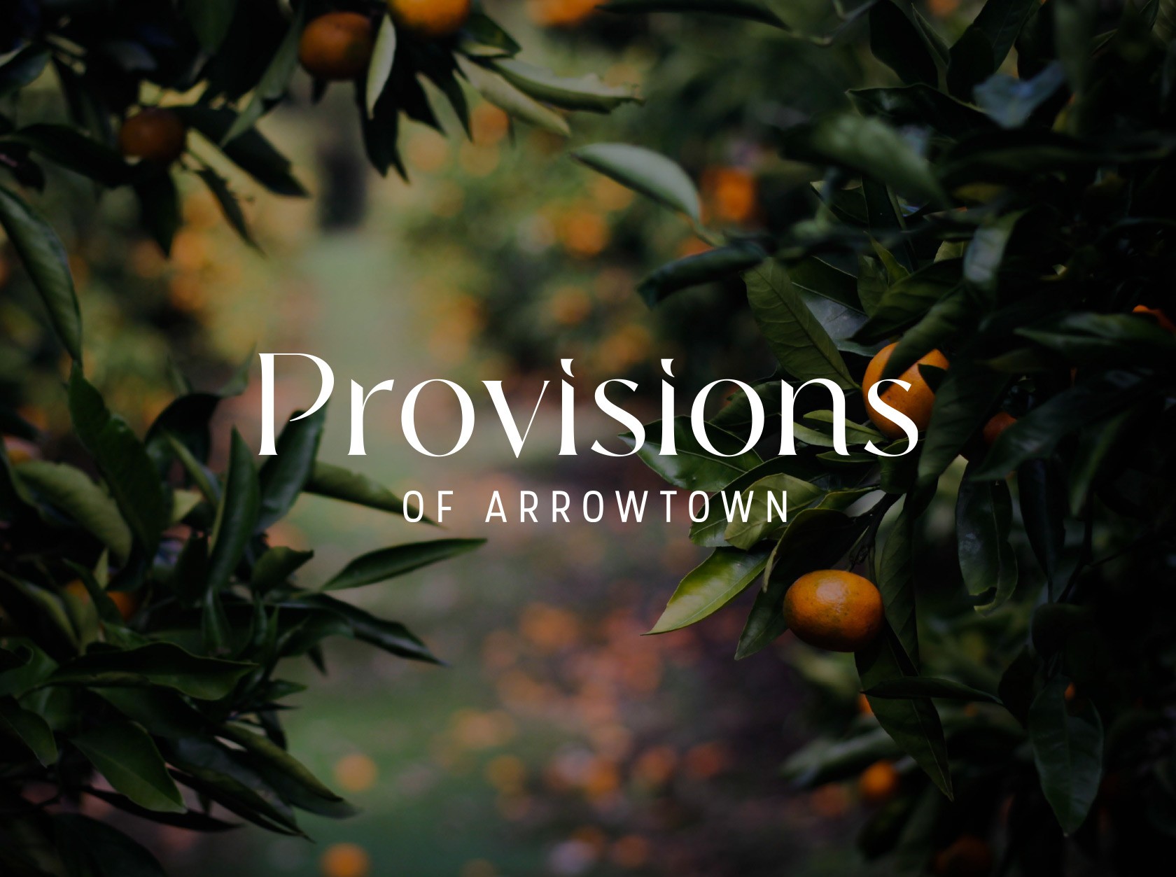 Provisions of Arrowtown Feature Image Landscape
